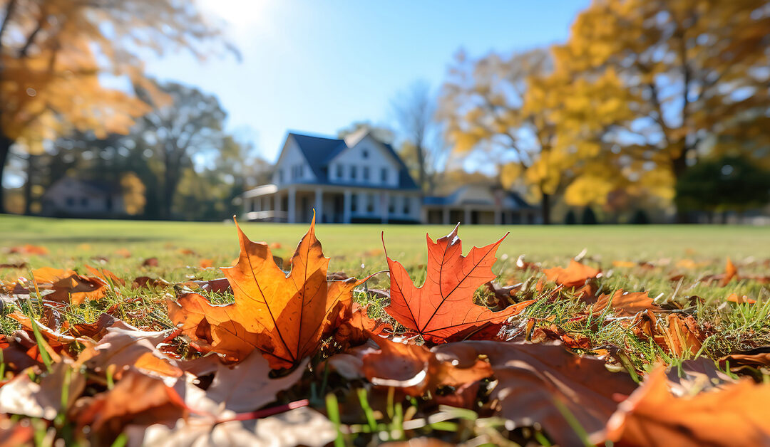 Discover Six Fall Lawn Care Steps you can do this fall for a greener lawn in the spring! The good news is that Greenbelt Lawns can help you with all six of these Fall Lawn Care Steps!