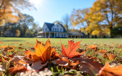 Six Fall Lawn Care Steps for a Greener Spring