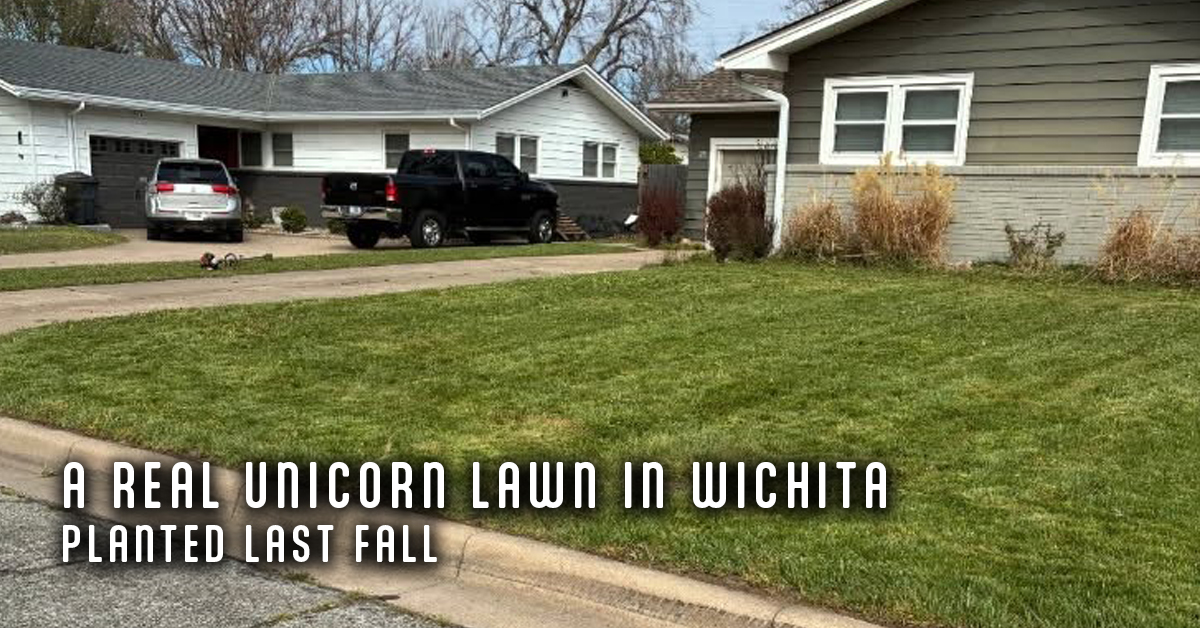 A Real Unicorn Lawn in Wichita, Kansas
