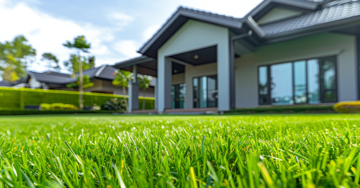Conserve water and enjoy a healthy lawn with Greenbelt Lawns Sustainable Lawn Care program