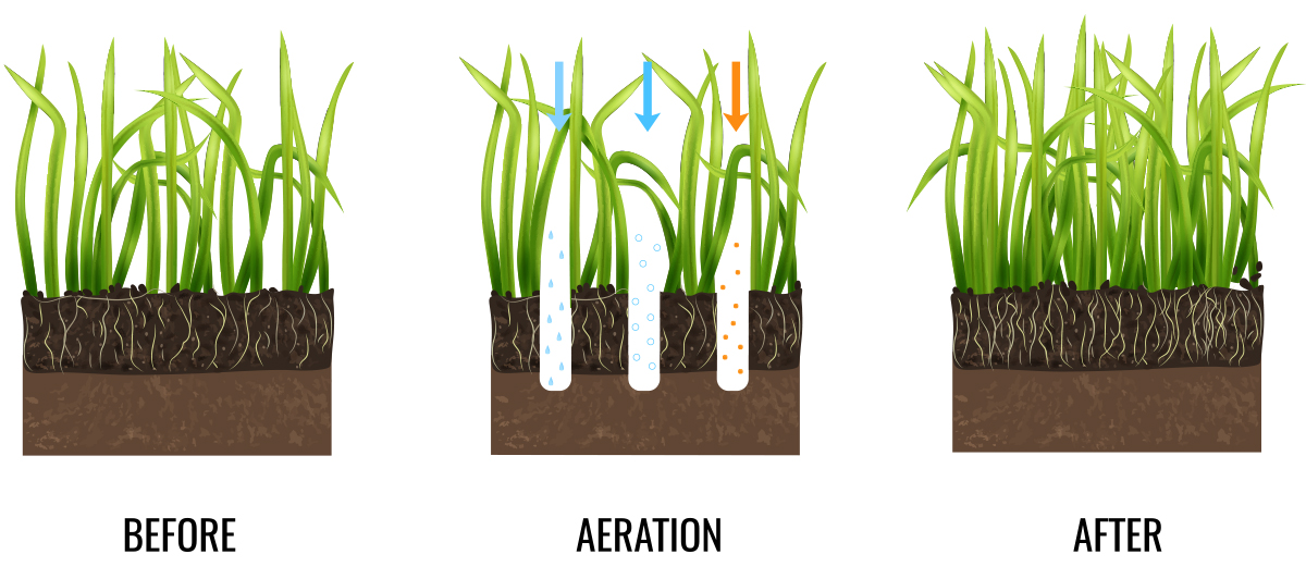 Core aeration is a great way to help a struggling lawn and fall is the perfect time to aerate.