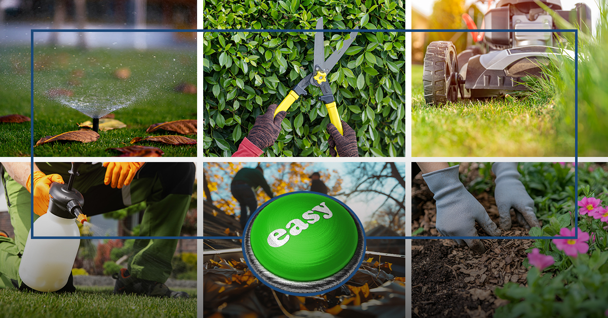 Discover Full Meal Deal Lawn and Landscaping Services with Greenbelt Lawns
