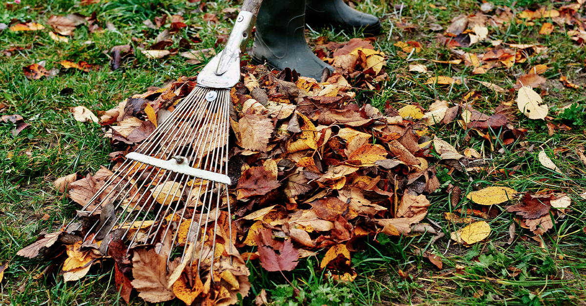 Fall lawn care consists of more than cleaning up leaves