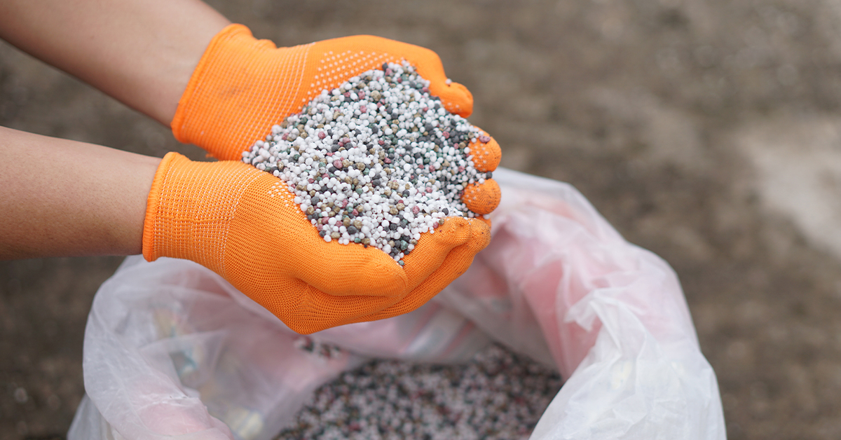 Fertilizer-is-the-feed-aspect-of-our-weed-and-feed-services Fertilizer Applications