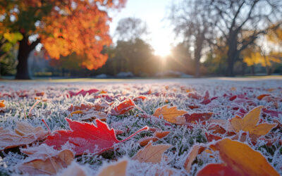 Fall Clean-Up Services: Prep Your Property for Winter