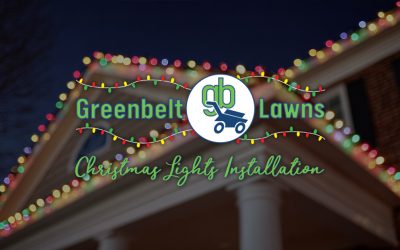 Answers to Your Frequently Asked Christmas Light Installation Questions