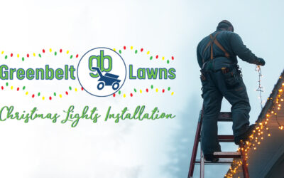 Tis the Season to Let the Pros Handle Your Christmas Lights Installation!