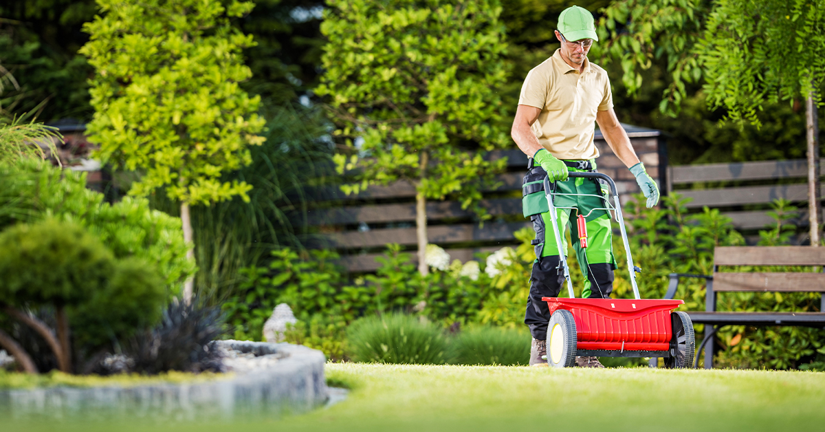 Greenbelt Lawns is your locally owned and operated liscensed and insured all-in-one lawn care and landscaping company Greenbelt Lawns is your locally owned and operated liscensed and insured all-in-one lawn care and landscaping company