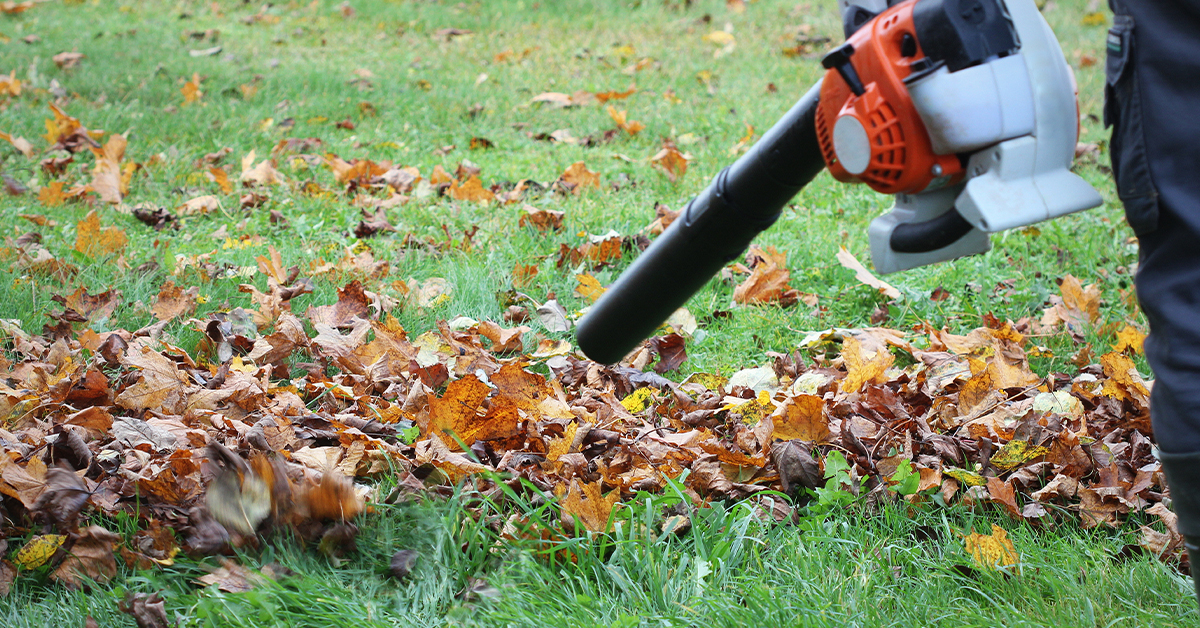 Greenbelt Lawns offers leaf clean up services to clear your lawn or property of fallen leaves.