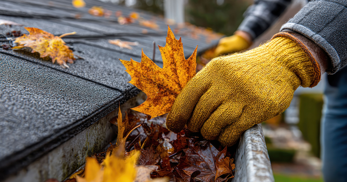 Hire Greenbelt to take care of your gutter cleaning while installing your Christmas Lights