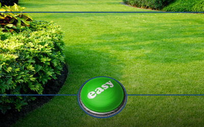 Hit the Easy Button for Your Lawn Care Needs!