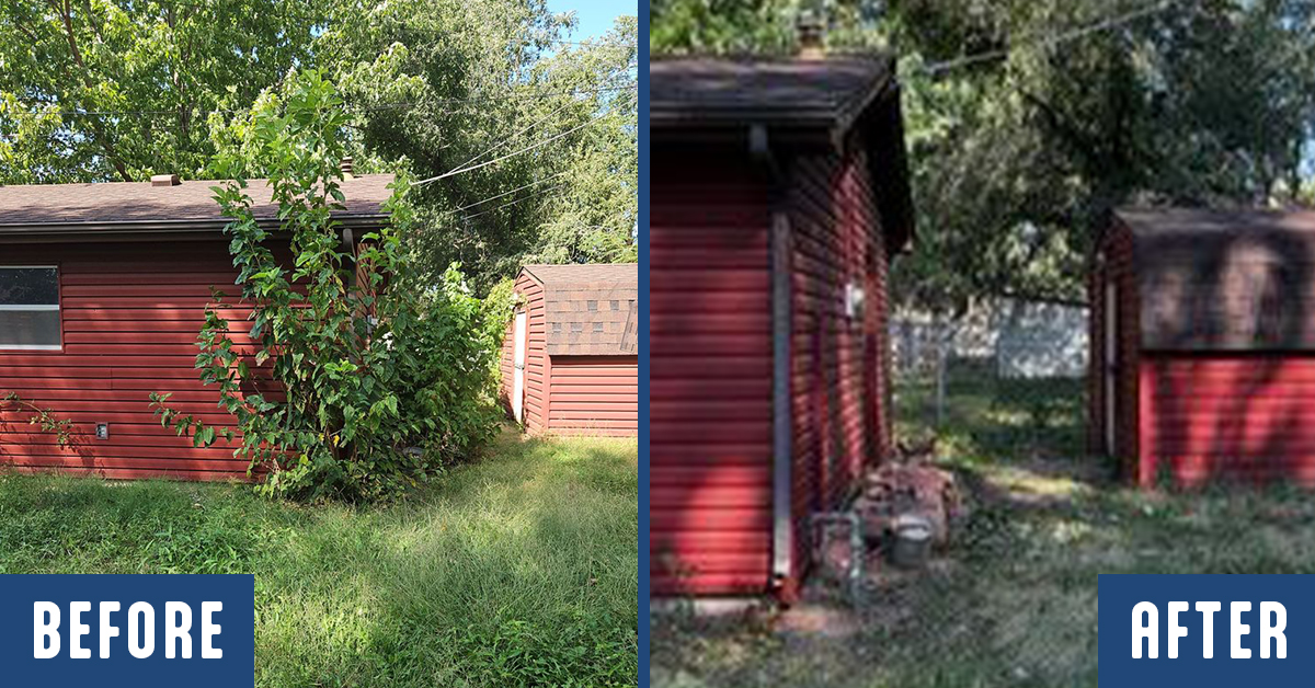 Lawn Clean Up Services from Greenbelt Lawns can help make your outdoor spaces cleaner and more usable.