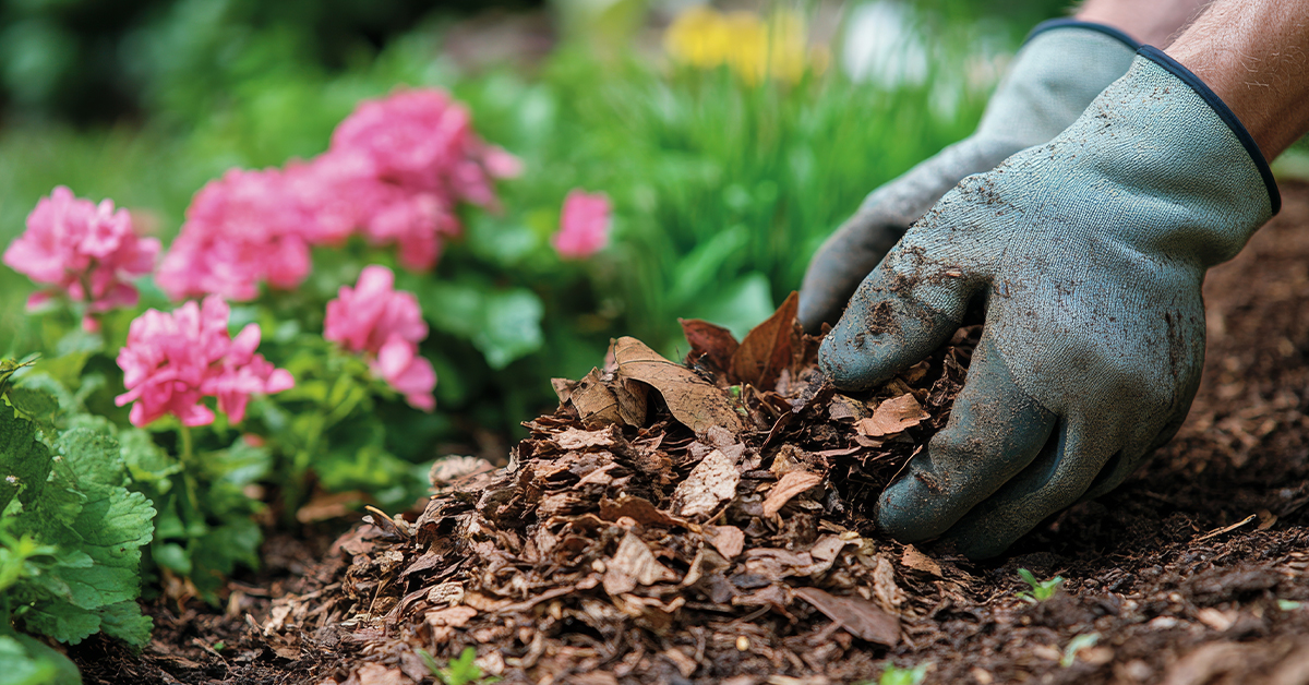 The real benefits of mulching go beyond just providing great curb appeal including moisture retention, weed control, temperature regulation, and improving soil health