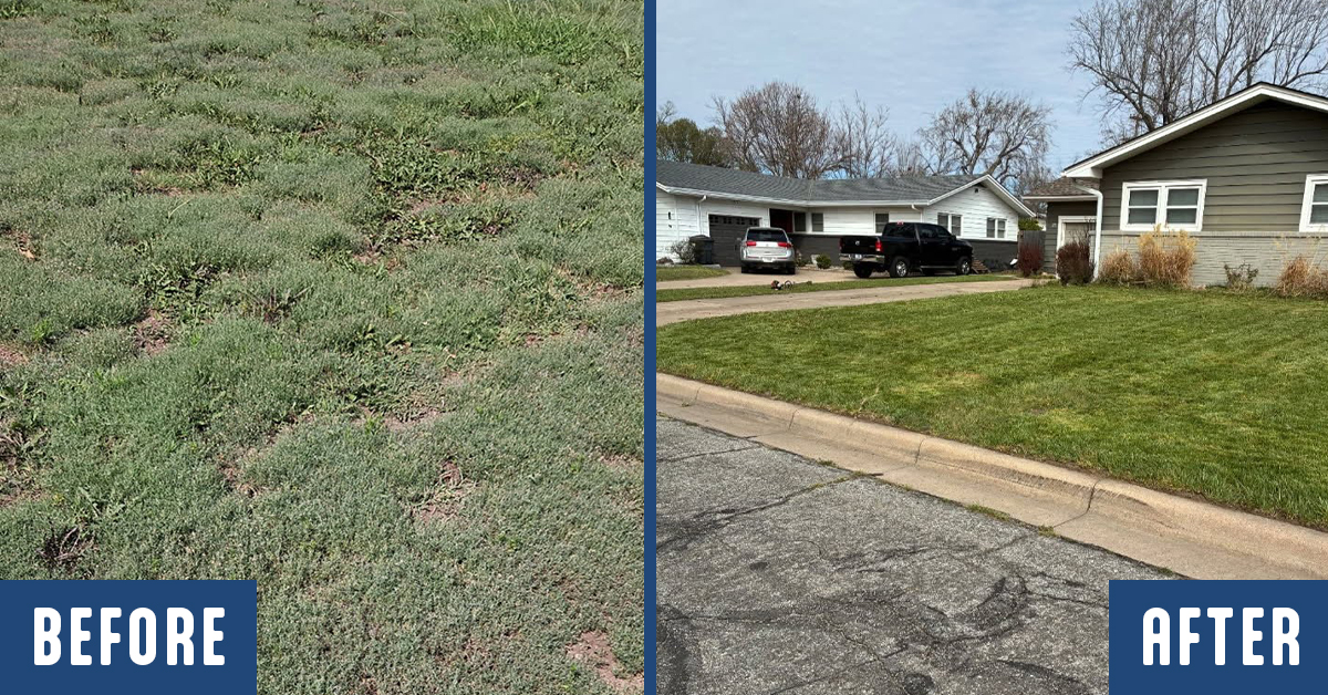 A before and after of a Unicorn Lawn