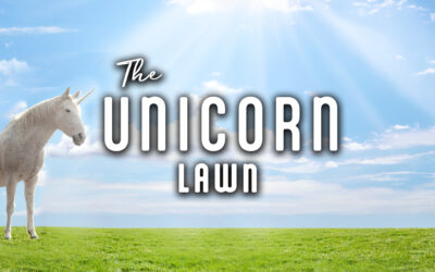 The Unicorn Lawn: A Kansas Survival Lawn for Wichita Homes and Rentals