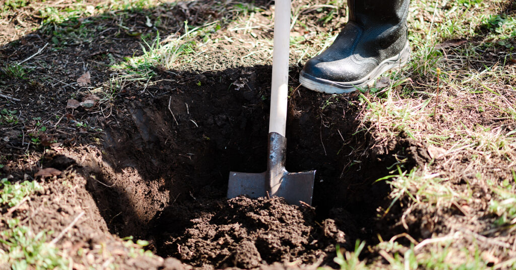 Make tree planting a breeze when you hire Greenbelt Lawns to plant your trees.