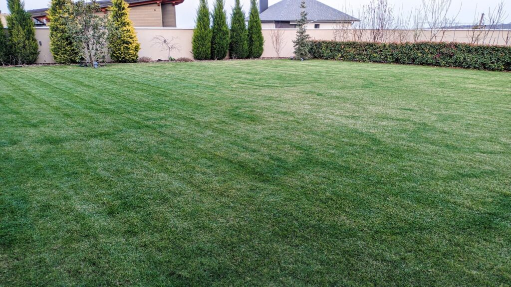 In Wichita the goal is to have a 6-inch drop over 10 feet away from the foundation or at the minimum 4 to 6 inches of dirt at the foundation graded out to 4 feet way from the foundation to allow water to find its own path away from the house